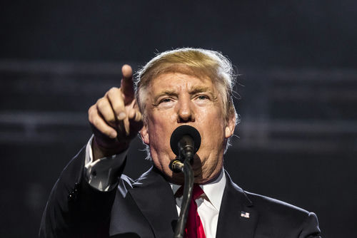 The Donald