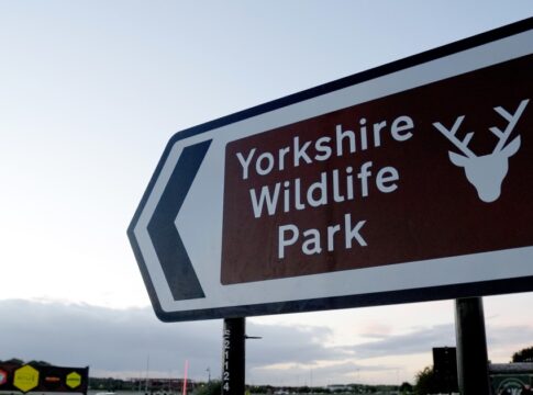 Featured image related to Tiger kills man who entered its enclosure at English wildlife park
